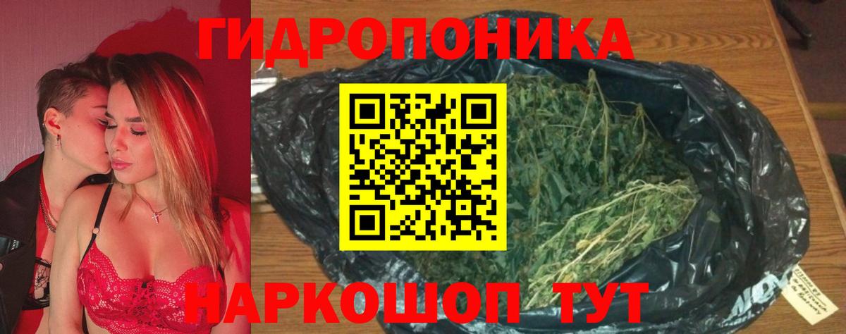 Шишки марихуана сатива Тейково